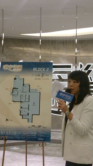 香港新楼盘荃湾环宇海湾