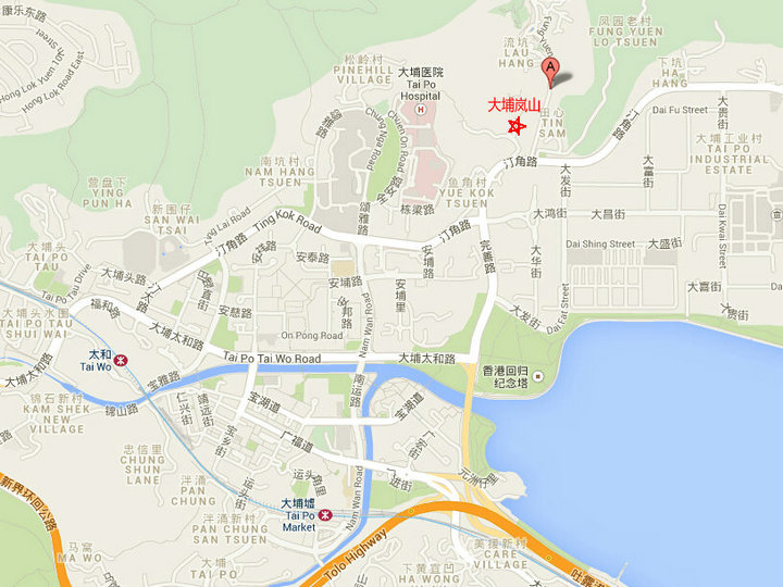 香港新楼盘大埔岚山位置图