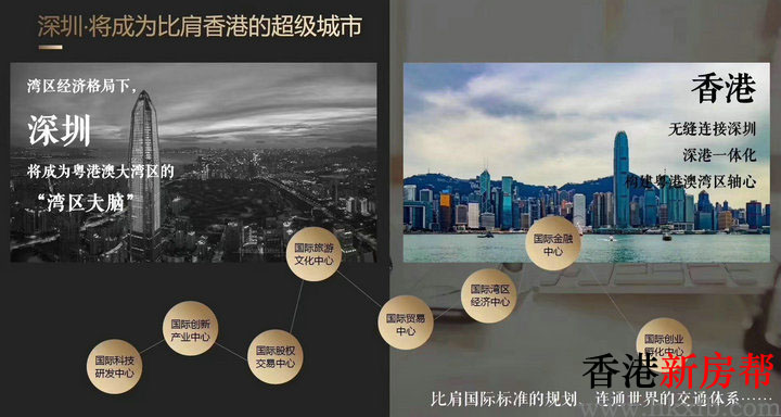 2 17 - 【帝景台】罗湖莲塘口岸一手现房 低密度品质社区